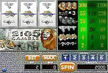 Big 5 Gamble